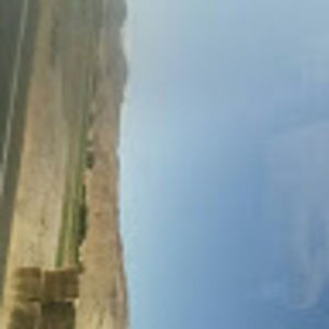 Meet your Posher, Brendan